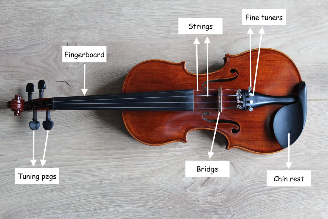 Do Violin Strings Make a Difference?